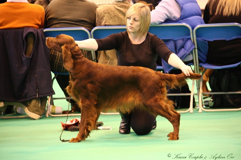 Crufts2011 474.jpg